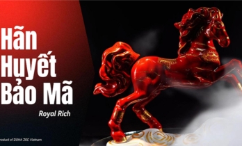 DẪN LỐI BÌNH AN – QUÀ TẾT BÍNH NGỌ 2026 🎁